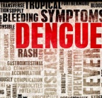 Entendiendo las Enfermedades Tropical

es